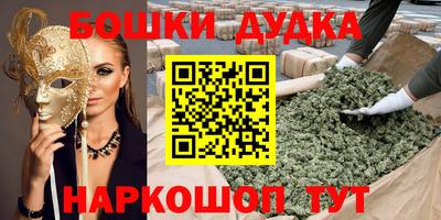 спиды Новозыбков