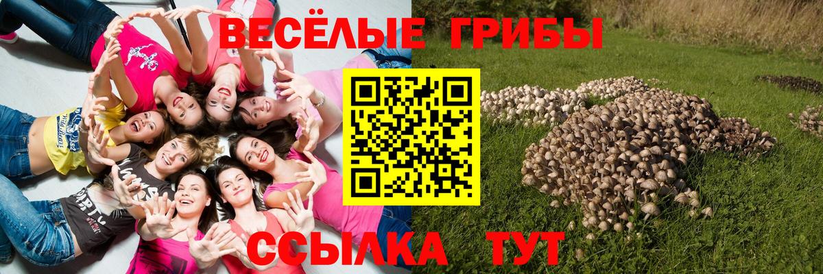 Сибай  Псилоцибиновые грибы GOLDEN TEACHER  Вход с VPN 